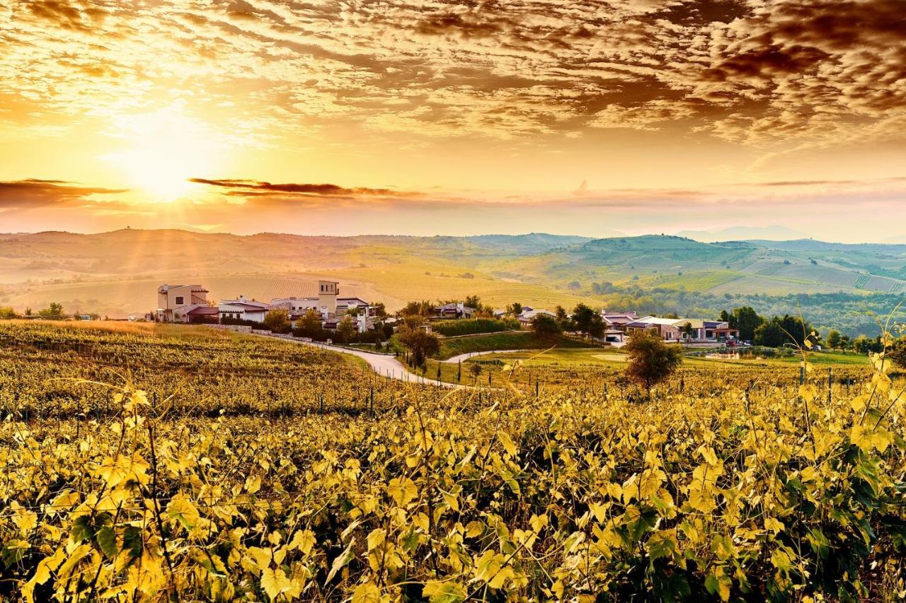 Zornitza Family Estate Relais & Chateaux Melnik  Kültér fotó